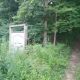 Zion Morrs Cemetery driveway up into the woods