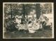 1913 picnic