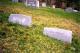 Macedonia Church Cemetery, John and Ida Robinson